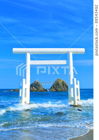 [Fukuoka Prefecture] Sakurai Futamigaura's Meotoiwa and Shiratori in fine weather 89543492