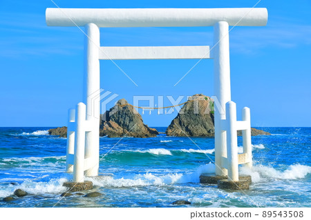 [Fukuoka Prefecture] Sakurai Futamigaura's Meotoiwa and Shiratori in fine weather 89543508