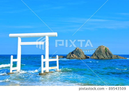 [Fukuoka Prefecture] Sakurai Futamigaura's Meotoiwa and Shiratori in fine weather 89543509