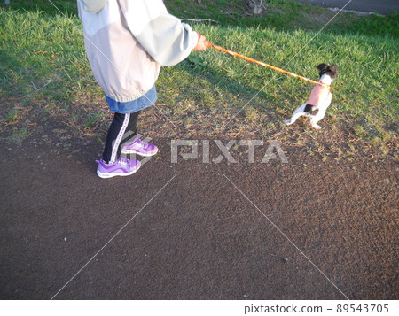 遛小狗的孩子（沒有臉） 89543705