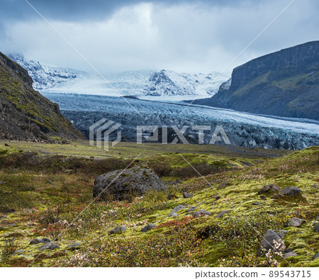 Iceland autumn tundra landscape near Haoldukvisl glacier, Iceland. Glacier tongue slides from the Vatnajokull icecap or Vatna Glacier near subglacial Esjufjoll volcano. Not far from Iceland Ring Road. 89543715