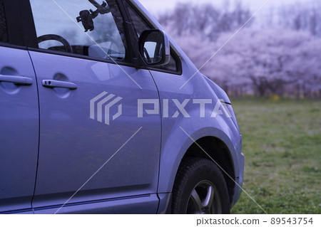 Sakura, rape blossoms and white car 89543754
