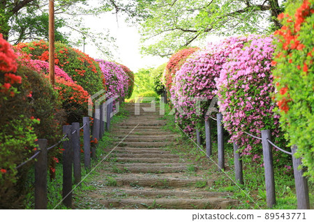 Shinshu Okaya Tsurumine Park Shinshu Okaya Tsurumine Park 89543771