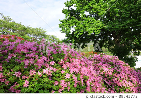 Shinshu Okaya Tsurumine Park Shinshu Okaya Tsurumine Park 89543772