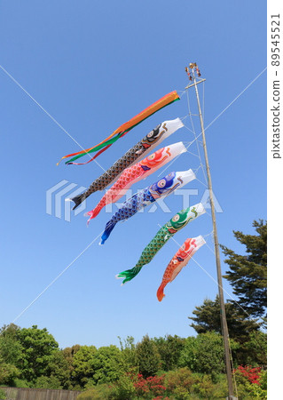 鯉魚旗 端午節 小月天空 鯉魚旗遊藍天 鯉魚旗 端午節 小月天空 鯉魚旗遊藍天 89545521