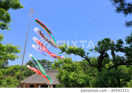 鯉魚旗 端午節 小月天空 鯉魚旗遊藍天 89545553