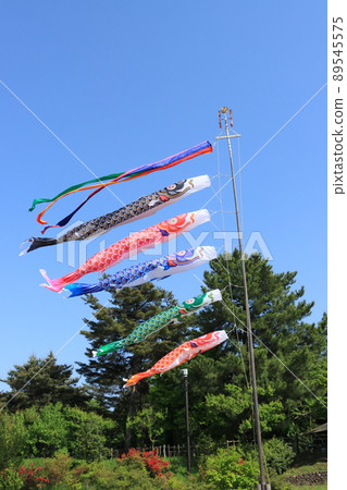 Carp streamer, Dragon Boat Festival, Satsuki sky, carp streamer swimming in the blue sky Carp streamer, Dragon Boat Festival, Satsuki sky, carp streamer swimming in the blue sky 89545575