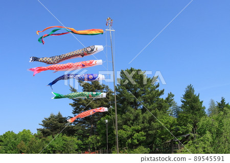 Carp streamer, Dragon Boat Festival, Satsuki sky, carp streamer swimming in the blue sky 89545591