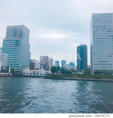 從對岸看到的豐美橋 89545771
