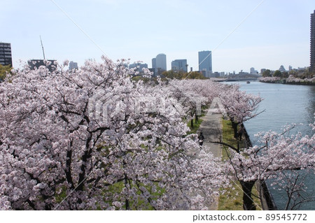 大阪市櫻花宮公園的櫻花風光和城市景觀 大阪市櫻花宮公園的櫻花風光和城市景觀 89545772