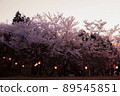 [Yazu Town] Sakura in Tenmayama Park 89545851