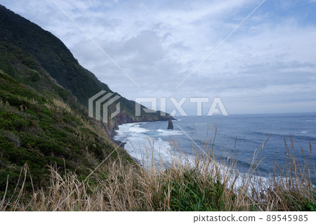 Fudeshima (Izu Oshima) Fudeshima (Izu Oshima) 89545985