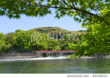 京都府宇治川上的關龍橋和綠意盎然的大吉山很美。 京都府宇治川上的關龍橋和綠意盎然的大吉山很美。 89546024