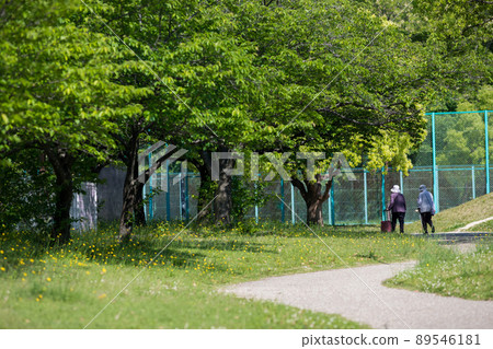 Two senior women taking a walk in a summer park 89546181