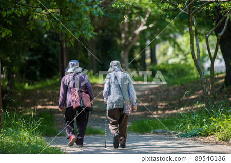 Two senior women taking a walk in a summer park Two senior women taking a walk in a summer park 89546186