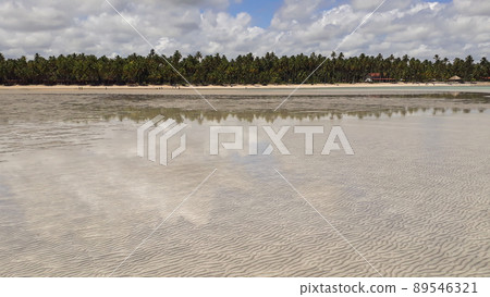 beautiful turquoise beach on the brazilian coast in Maragogi, Alagoas, Brazil beautiful turquoise beach on the brazilian coast in Maragogi, Alagoas, Brazil 89546321