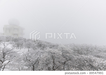 Snow's Okonomiyake Snow's Okonomiyake 89547991