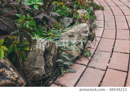 Cobblestone stone sidewalk with flower bed. Landscaping of town, ensuring safety of pedestrians. Accessible environment and environmental friendliness of city. Old cobblestones form atmosphere of Cobblestone stone sidewalk with flower bed. Landscaping of town, ensuring safety of pedestrians. Accessible environment and environmental friendliness of city. Old cobblestones form atmosphere of 89548213