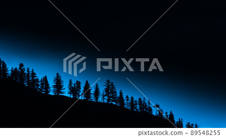 Row of silhouettes of coniferous trees on hillside in monochrome style Row of silhouettes of coniferous trees on hillside in monochrome style 89548255