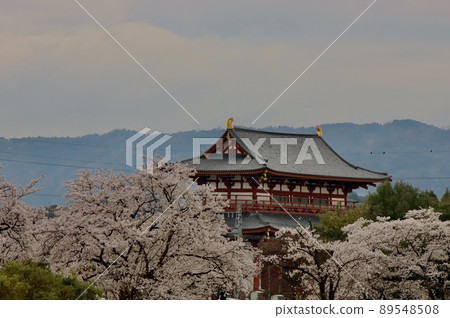 Heijokyo Spring 89548508
