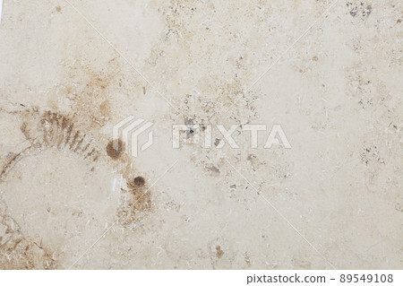 Wall pattern beige stone board texture background 89549108