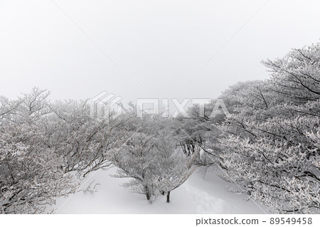 Snow's Okonomiyake Snow's Okonomiyake 89549458