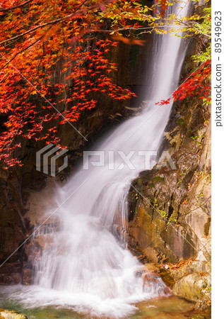 岐阜縣中津川市湯森公園的獨克蘇瀑布 岐阜縣中津川市湯森公園的獨克蘇瀑布 89549623