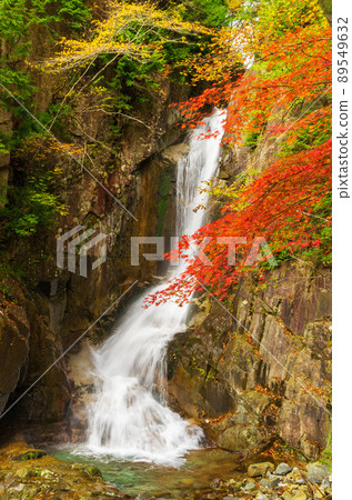 岐阜縣中津川市湯森公園的獨克蘇瀑布 岐阜縣中津川市湯森公園的獨克蘇瀑布 89549632