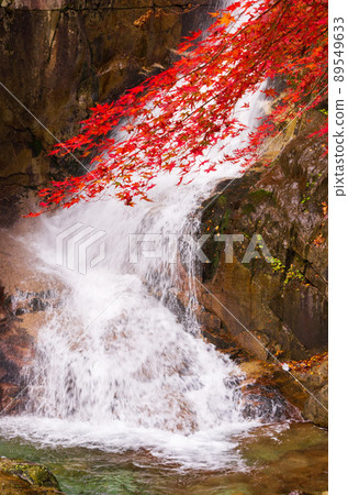 岐阜縣中津川市湯森公園的獨克蘇瀑布 89549633