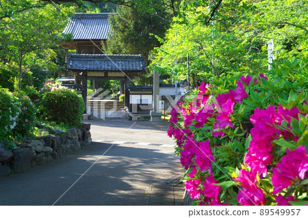 [Important Preservation District for Groups of Traditional Buildings] [Japan Heritage Site] Obama Nishigumi: Scenery of the approach to Koseiji Temple in early summer, Part 3, Obama City, Fukui Prefecture 89549957