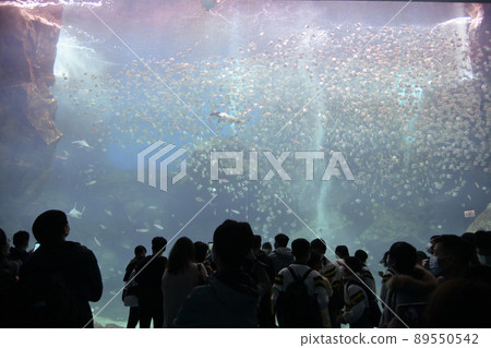 Taoyuan, Taiwan - December 4, 2021: Xpark Aquarium in Taoyuan, Taiwan. Everyone looked up at the fish. 89550542
