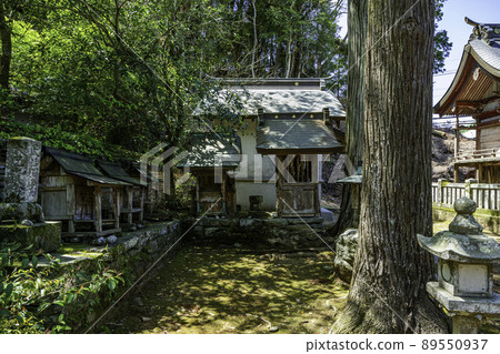 Ichinomiya Shrine Setsumatsusha Tokushima City, Tokushima Prefecture 89550937