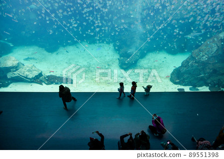 台灣桃園Xpark水族館。水族館讓遊客有機會看到超過 30,000 89551398