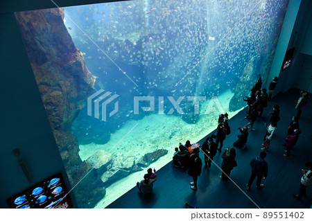 台灣桃園Xpark水族館。水族館讓遊客有機會看到超過 30,000 台灣桃園Xpark水族館。水族館讓遊客有機會看到超過 30,000 89551402