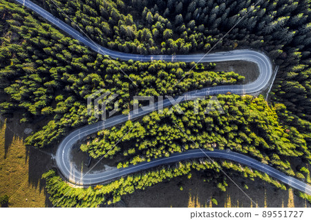 Aerial view of winding road in green forest Aerial view of winding road in green forest 89551727