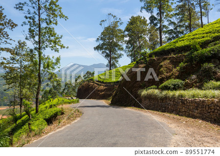 Road on Sri Lanka 89551774