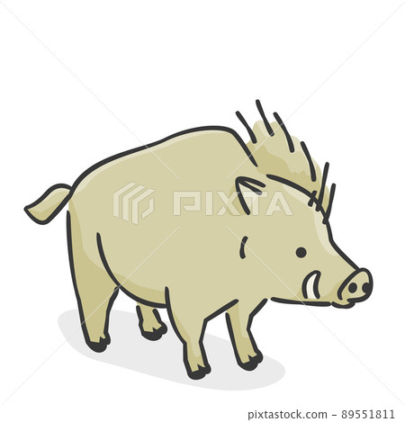 Fashionable wild boar (illustration icon) Fashionable wild boar (illustration icon) 89551811