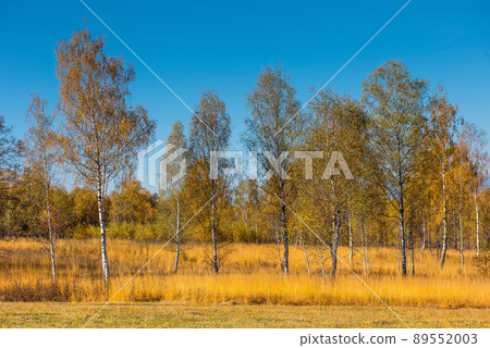 Autumn in Transylvania Autumn in Transylvania 89552003