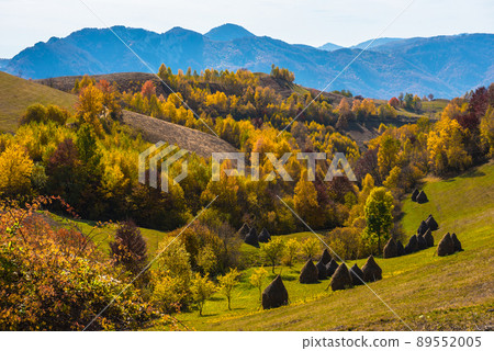 Autumn scene in the mountains 89552005