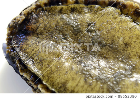 abalone 89552380