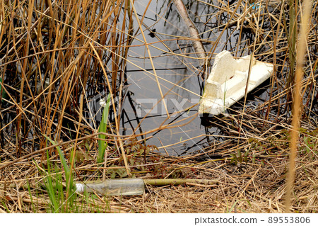garbage in the water, used glass bottle in the pound garbage in the water, used glass bottle in the pound 89553806