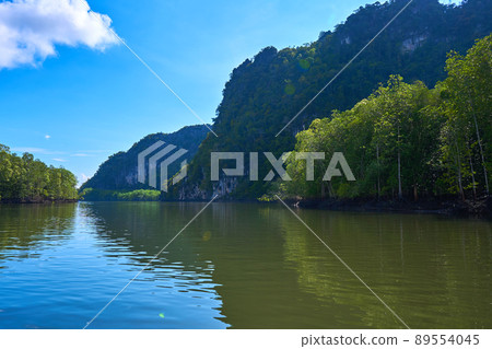 Pure nature landscape river among mangrove forests 89554045