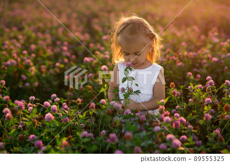 A little girl with a bouquet of flowers in a clover field is bitten by mosquitoes. A child in the rays at sunset. Insect bites. A little girl with a bouquet of flowers in a clover field is bitten by mosquitoes. A child in the rays at sunset. Insect bites. 89555325