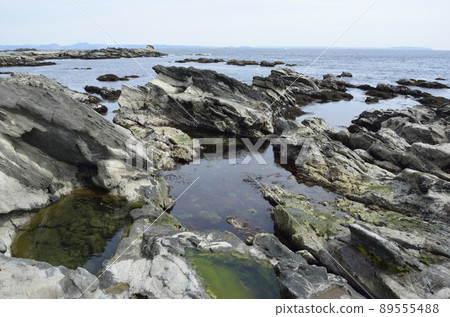 海灘上的潮汐池 89555488