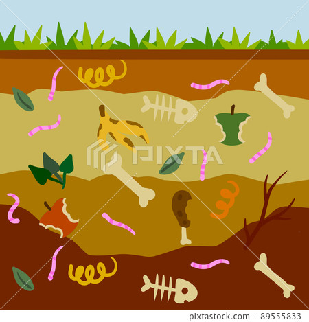 Compost soil. Layer of earth in section with worms. Farming and food waste. Ecological humus. 89555833