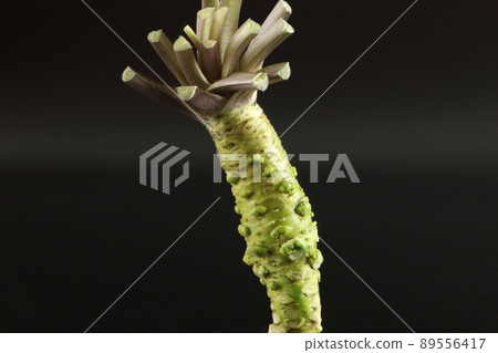 Fresh and delicious book wasabi 4 (simple black background) Fresh and delicious book wasabi 4 (simple black background) 89556417