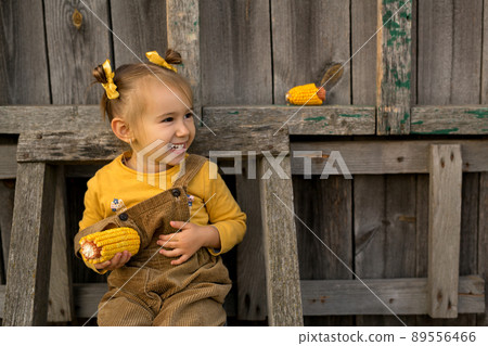 Kid is sitting on an old wooden staircase with corn in her hands and laughing merrily. A child in casual clothes. The happiness of living in the village. Kid is sitting on an old wooden staircase with corn in her hands and laughing merrily. A child in casual clothes. The happiness of living in the village. 89556466