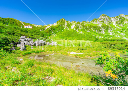 Summer Senjojiki Cirque [Nagano Prefecture] 89557014