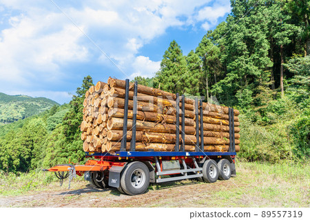 Lumber loaded on the trailer 89557319