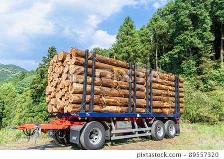 Lumber loaded on the trailer Lumber loaded on the trailer 89557320
